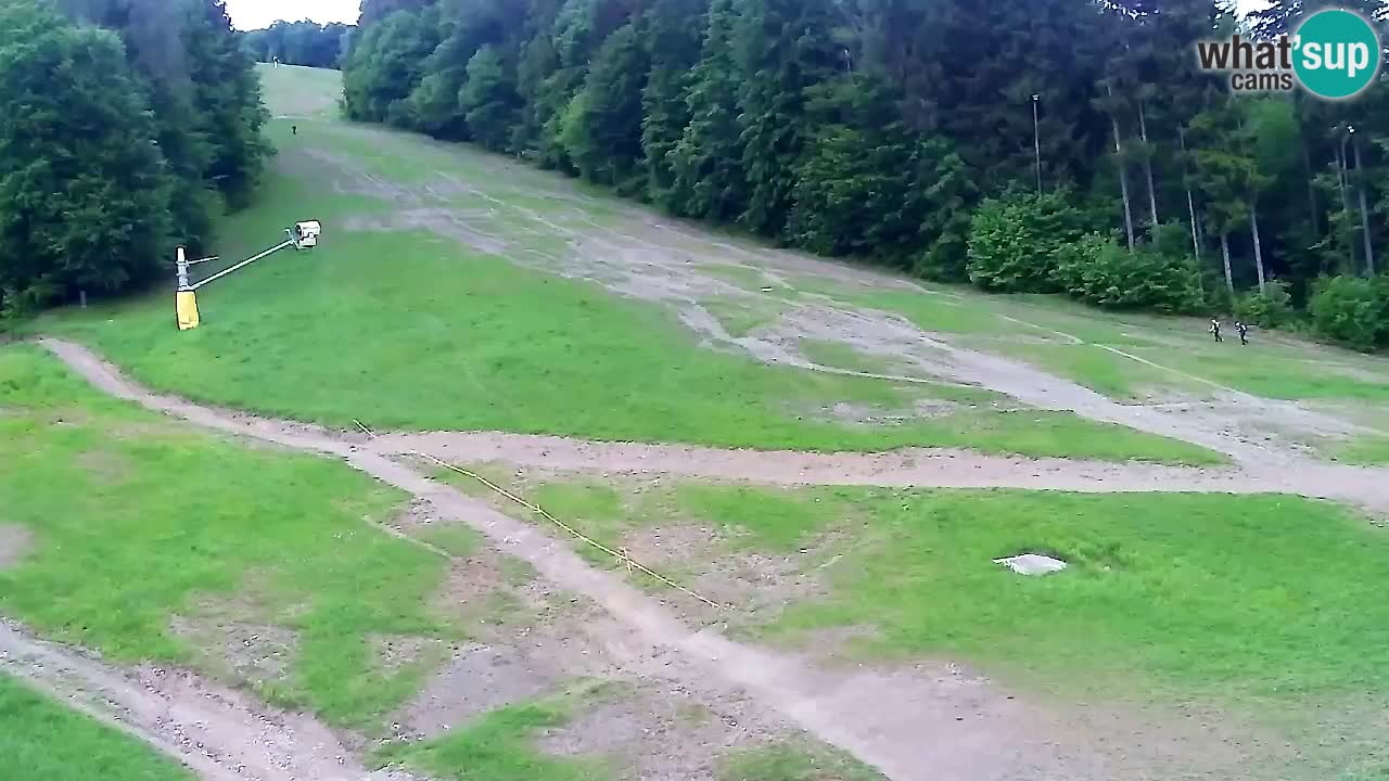 Webcam Pohorje Trikotna Jasa | Poštela
