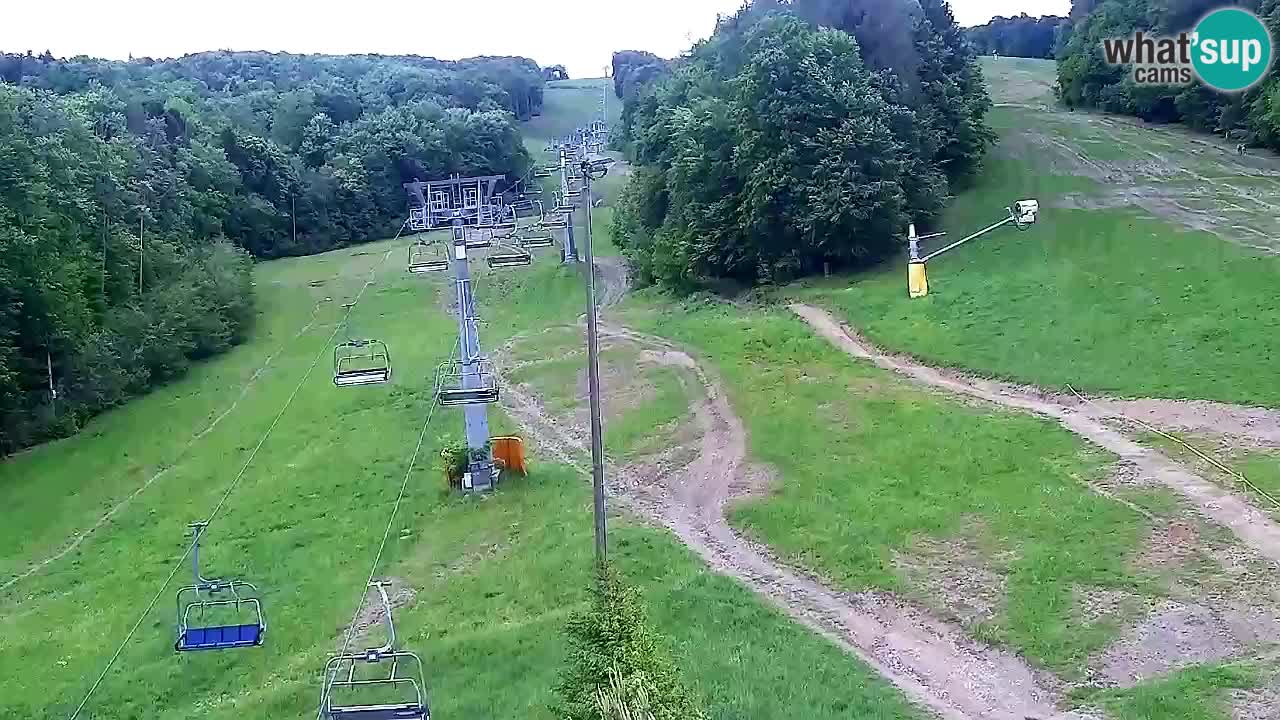 Web Camera Pohorje Trikotna Jasa | Poštela