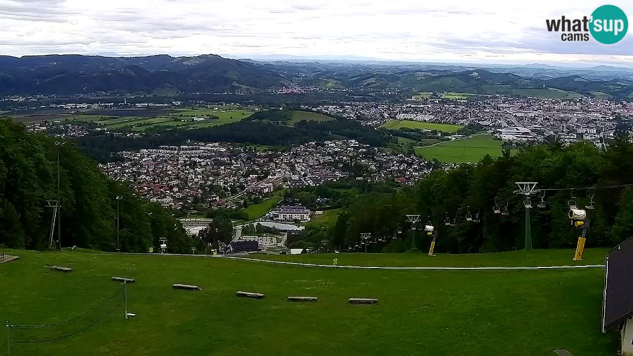 Webcam Pohorje Trikotna Jasa | Poštela