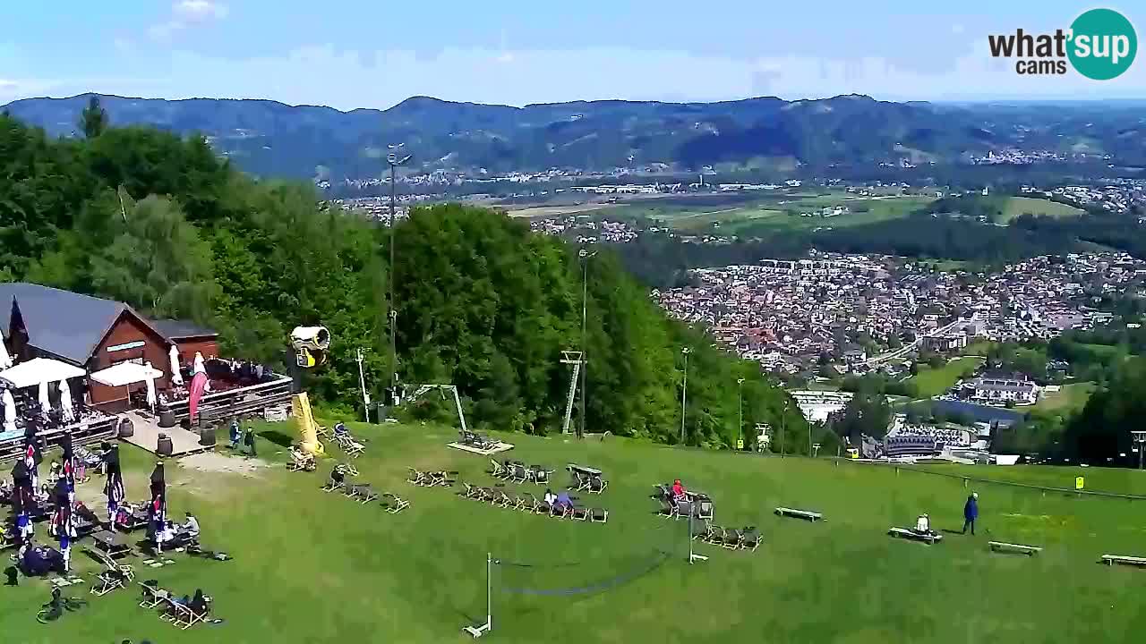 Web Camera Pohorje Trikotna Jasa | Poštela