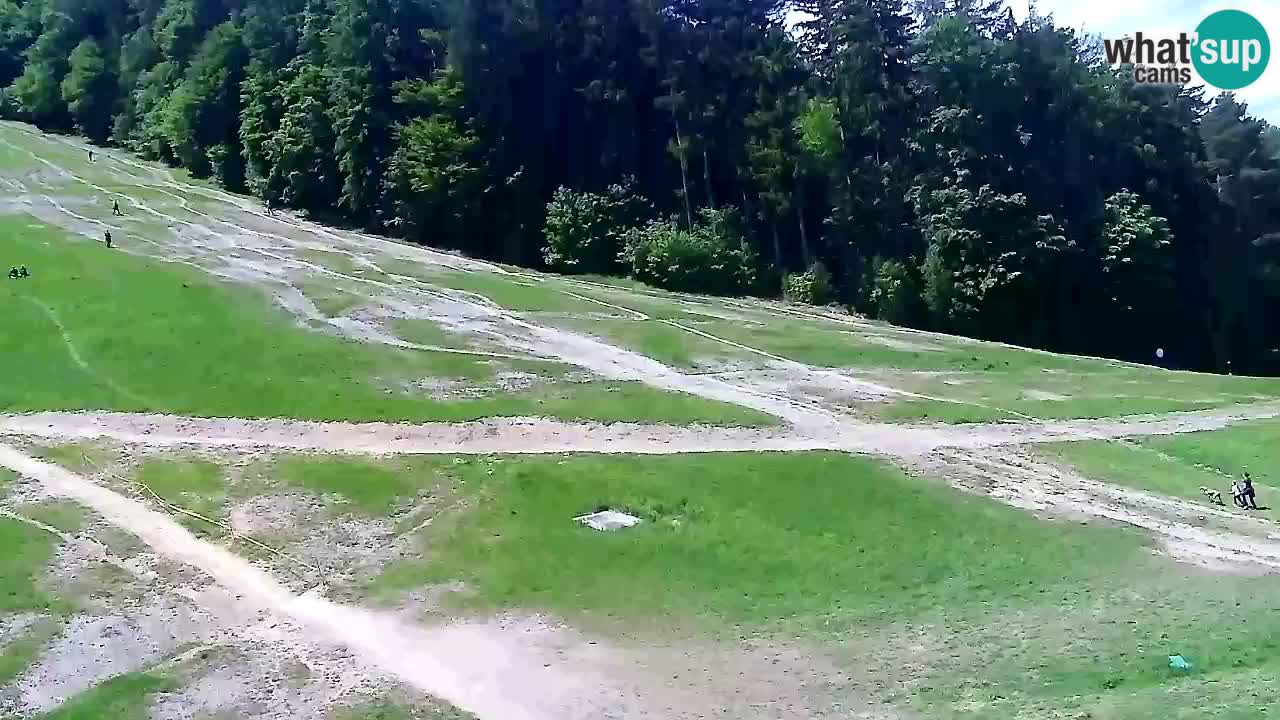 Webcam Pohorje Trikotna Jasa | Poštela