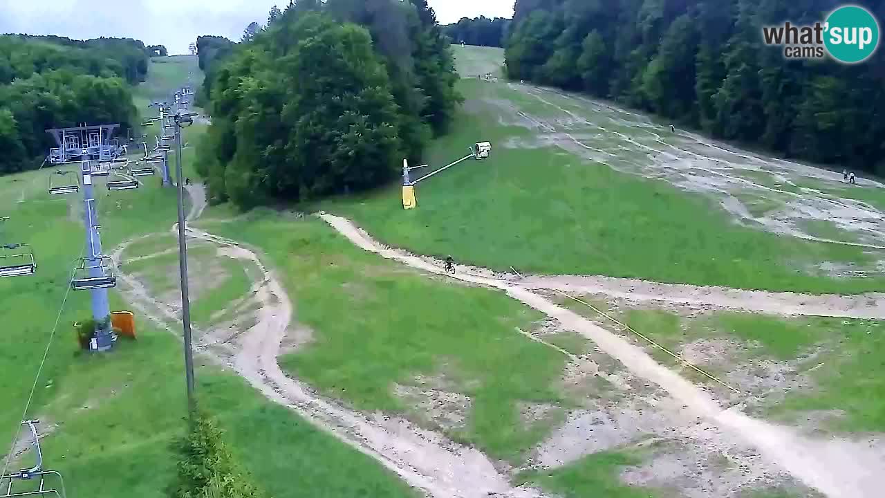Webcam Pohorje Trikotna Jasa | Poštela