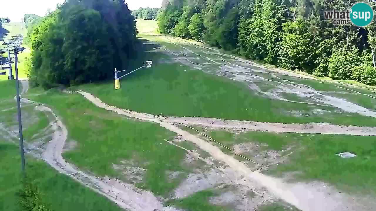 Web Camera Pohorje Trikotna Jasa | Poštela