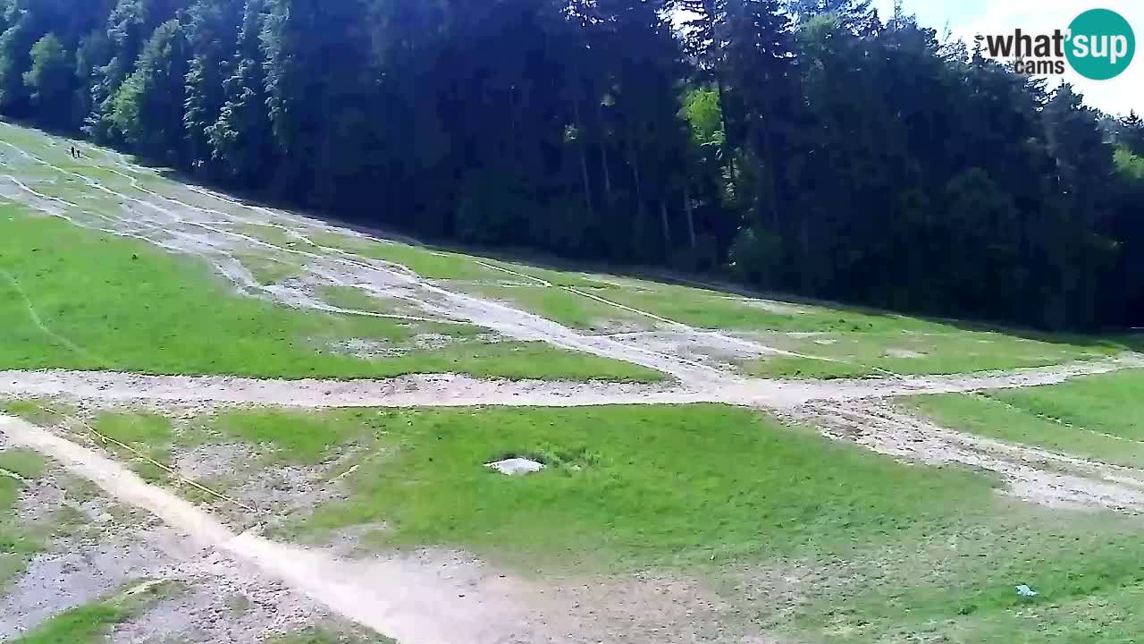 Web kamera Pohorje Trikotna Jasa | Poštela