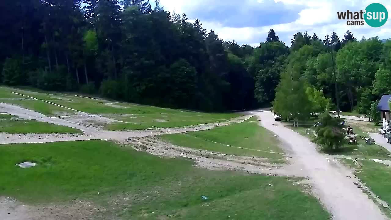 Webcam Pohorje Trikotna Jasa | Poštela