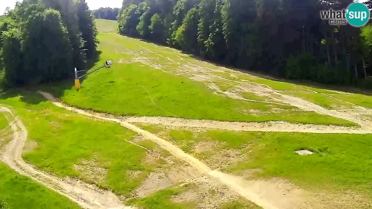 Webcam Pohorje Trikotna Jasa | Poštela