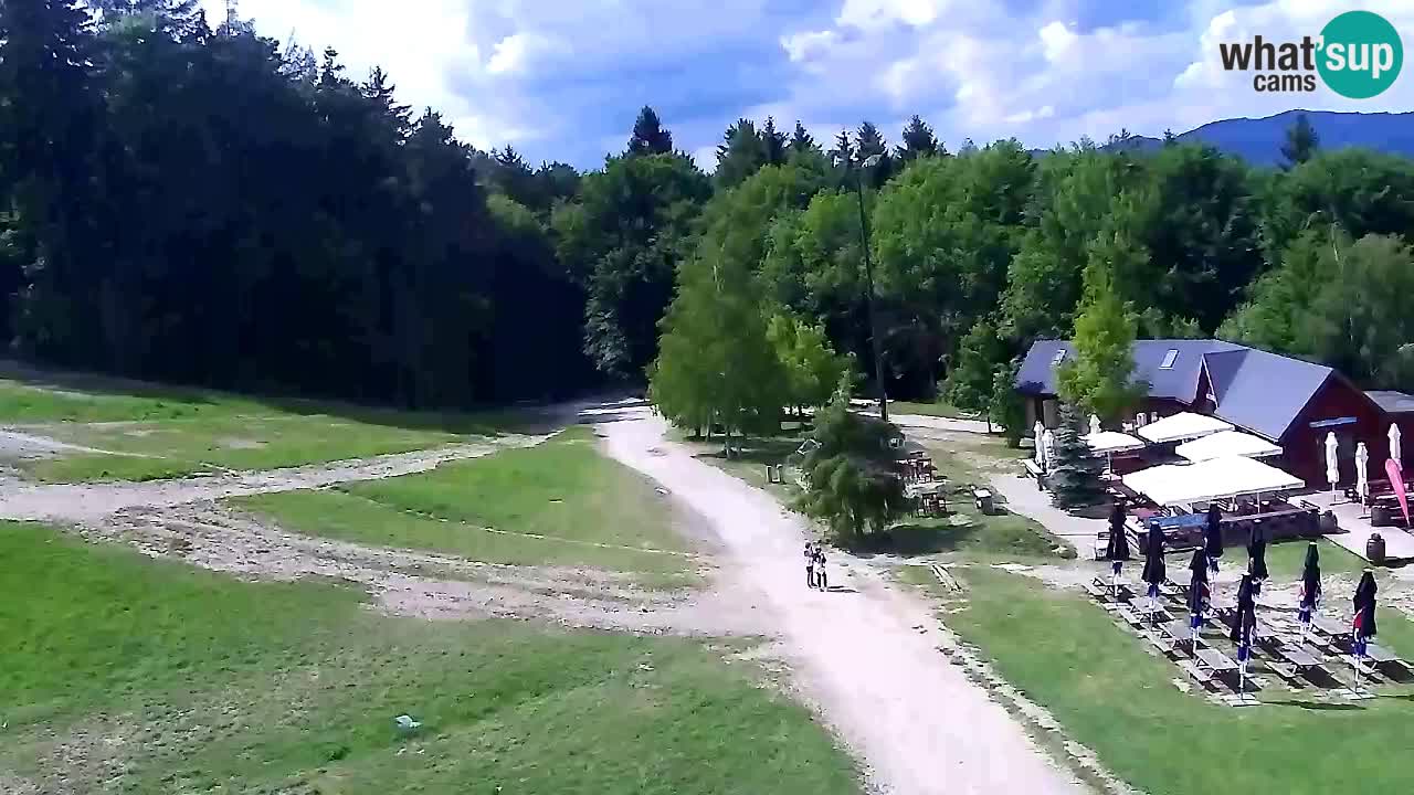 Webcam Pohorje Trikotna Jasa | Poštela