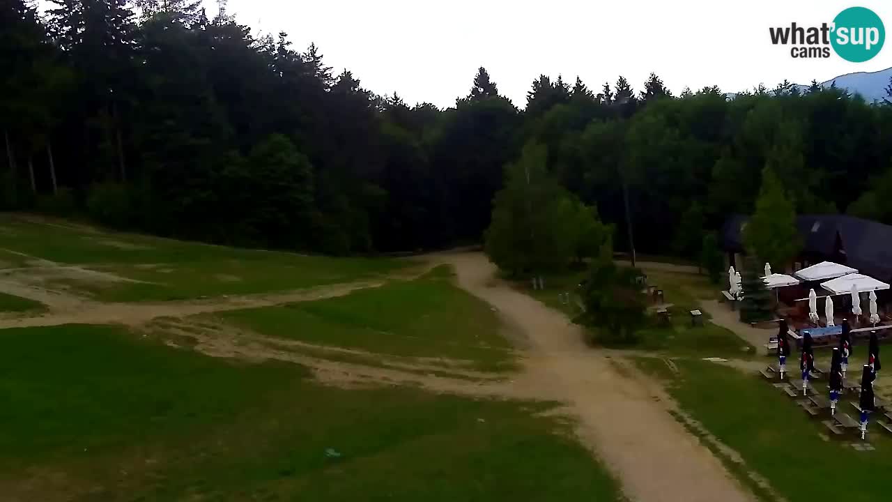 Webcam Pohorje Trikotna Jasa | Poštela