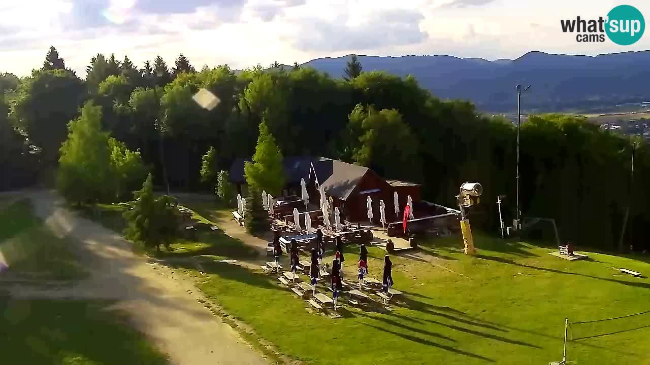 Webcam Pohorje Trikotna Jasa | Poštela