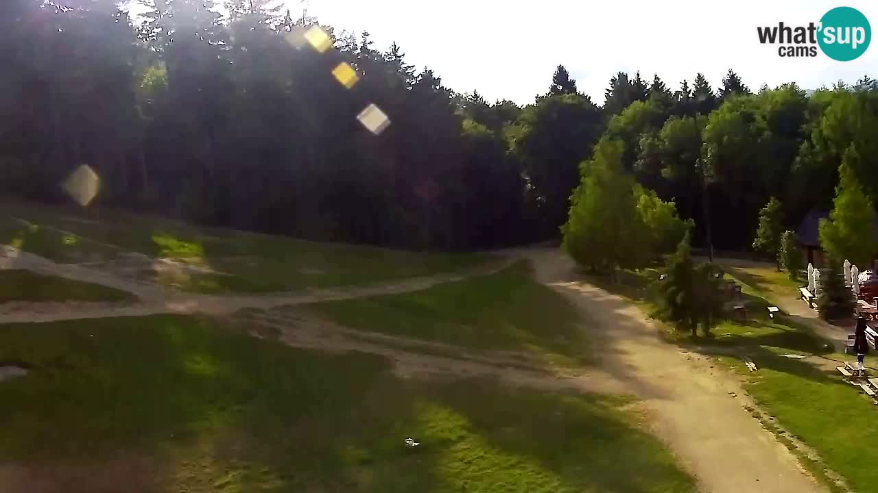 Webcam Pohorje Trikotna Jasa | Poštela