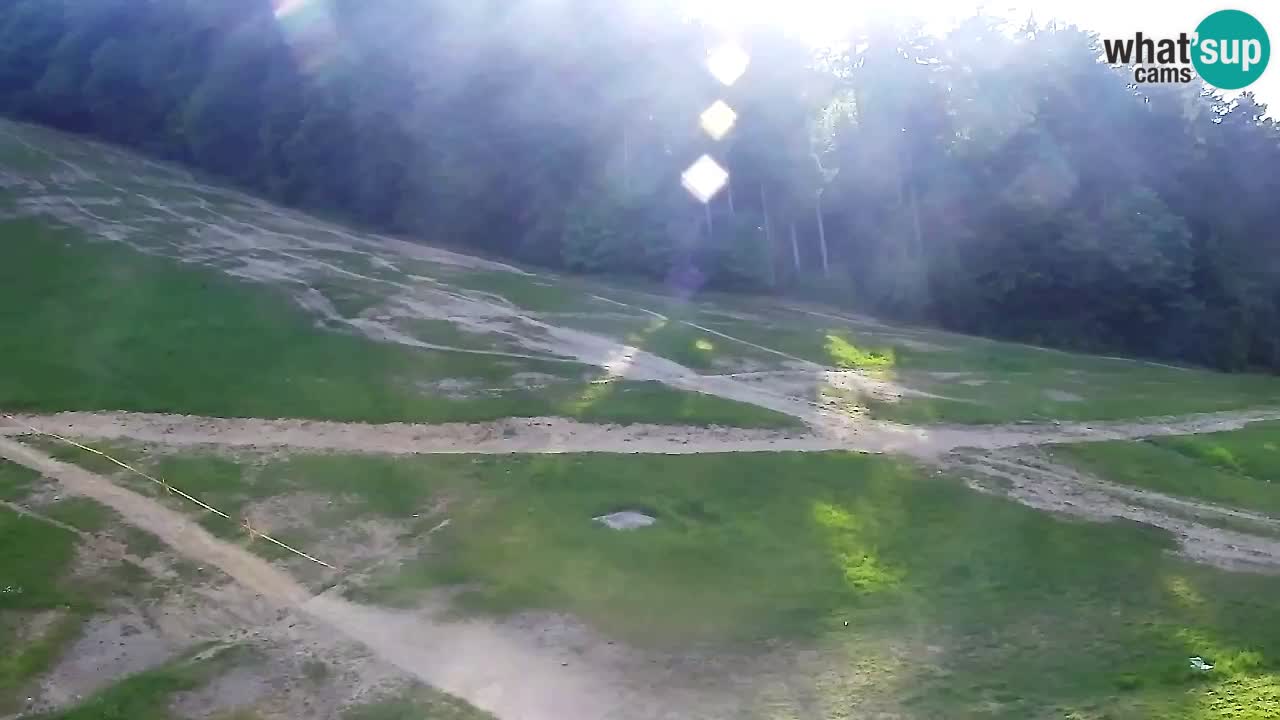 Webcam Pohorje Trikotna Jasa | Poštela