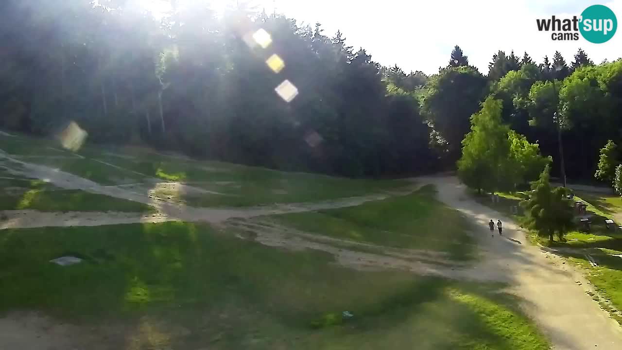 Webcam Pohorje Trikotna Jasa | Poštela