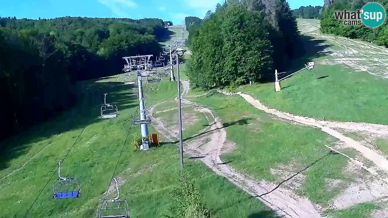 Webcam Pohorje Trikotna Jasa | Poštela