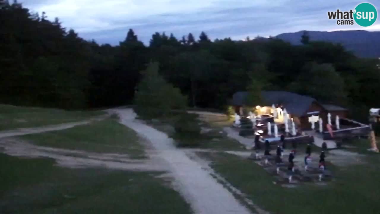 Webcam Pohorje Trikotna Jasa | Poštela