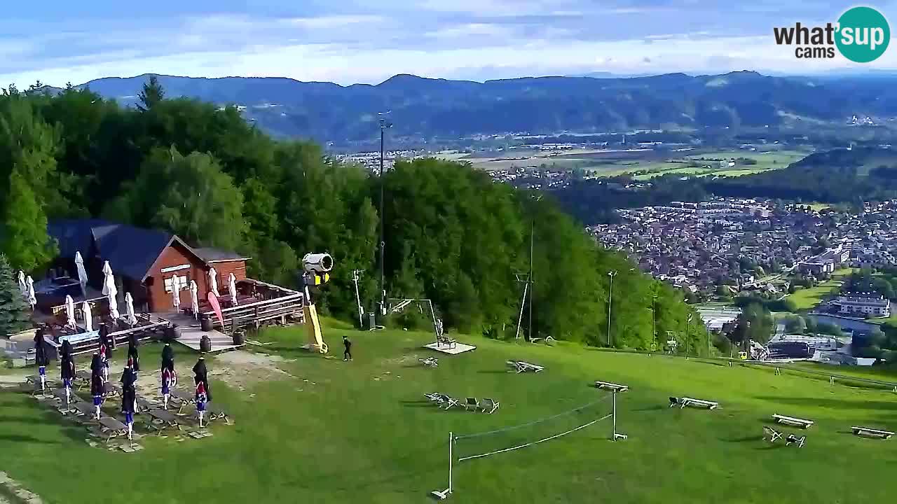 Spletna Kamera Pohorje Trikotna Jasa | Poštela