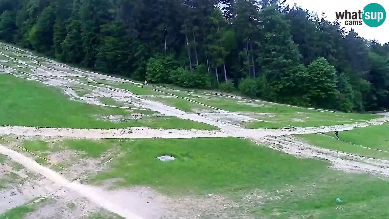 Webcam Pohorje Trikotna Jasa | Poštela