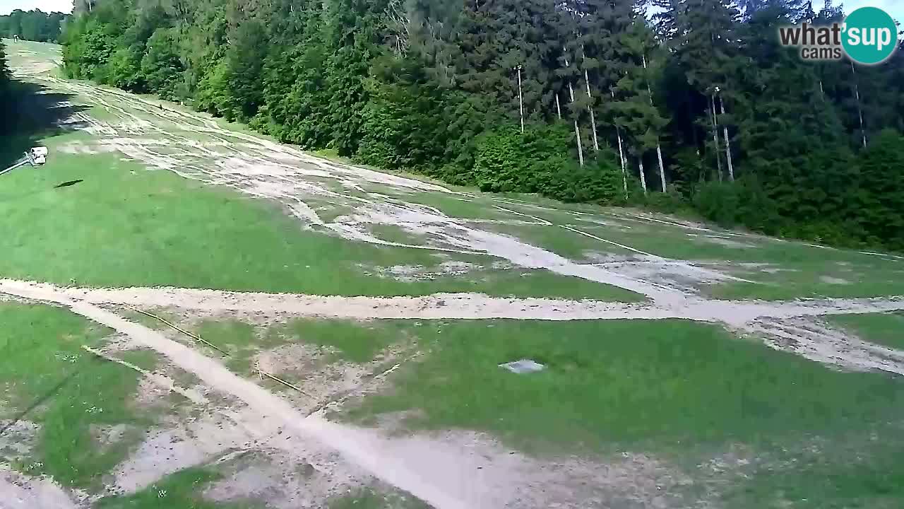 Webcam Pohorje Trikotna Jasa | Poštela