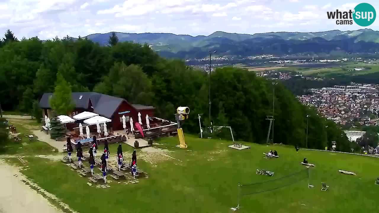 Web Camera Pohorje Trikotna Jasa | Poštela
