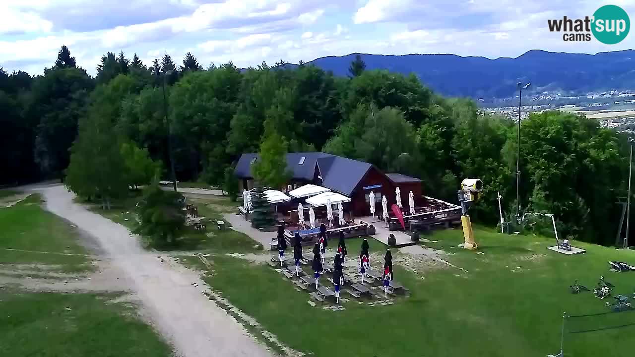 Webcam Pohorje Trikotna Jasa | Poštela