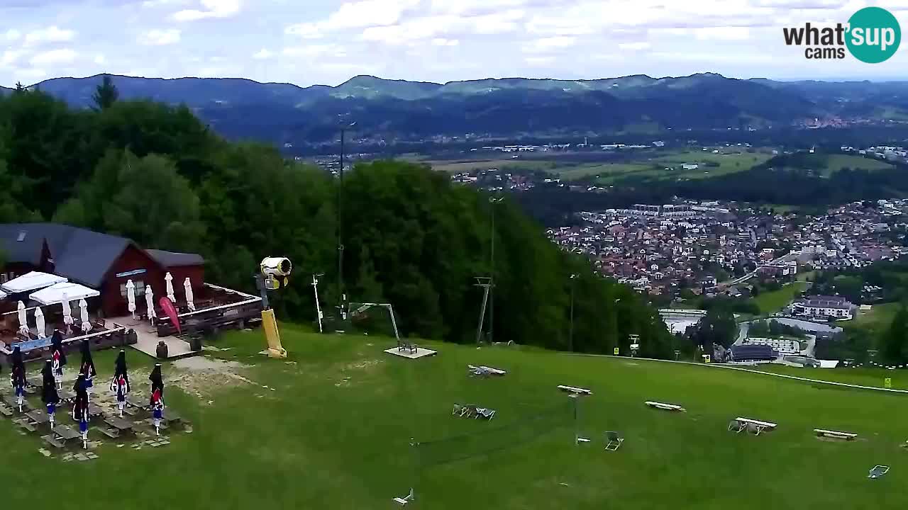 Webcam Pohorje Trikotna Jasa | Poštela