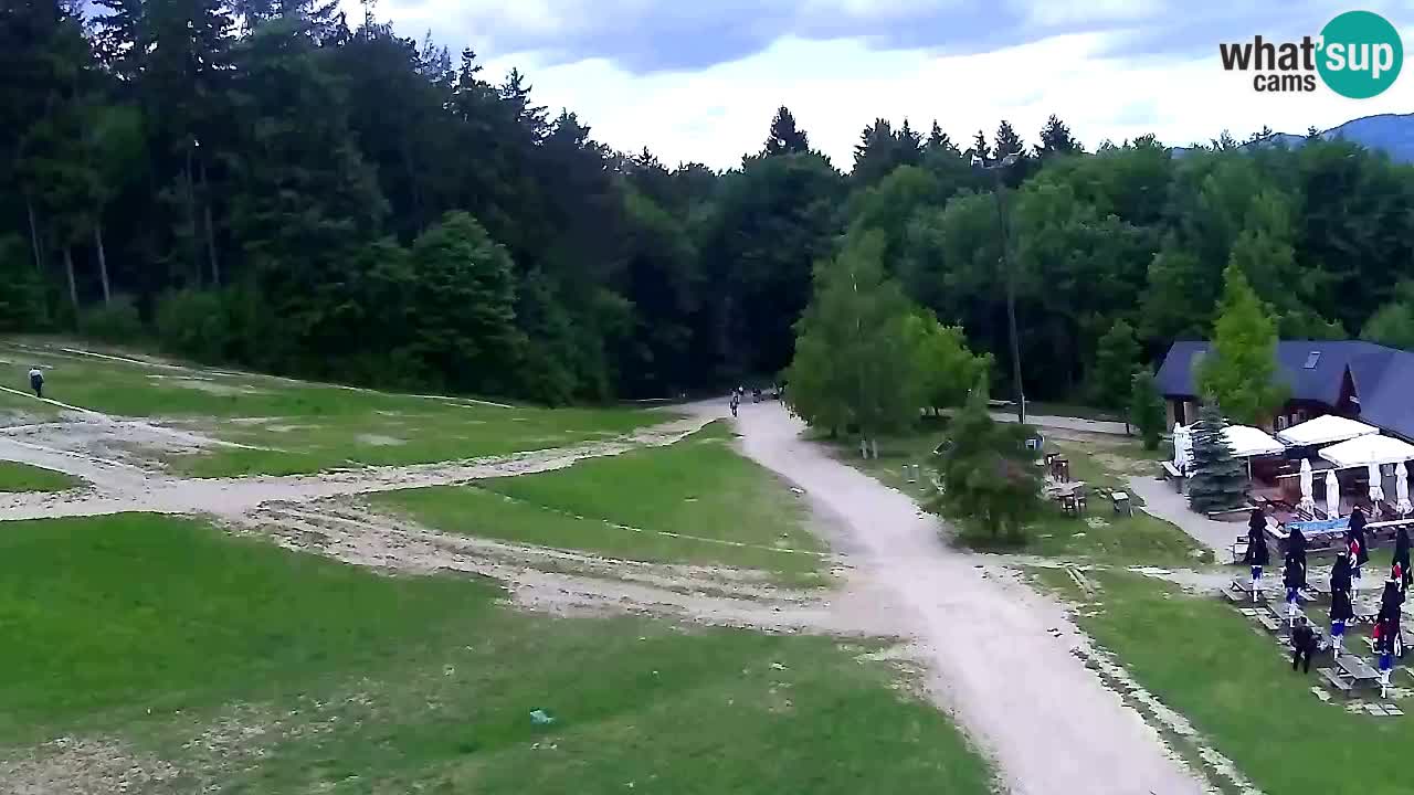 Webcam Pohorje Trikotna Jasa | Poštela