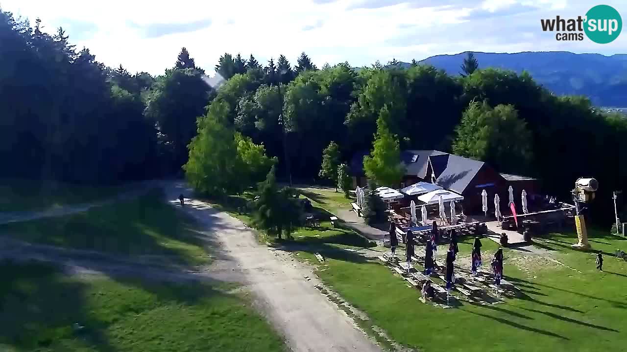 Webcam Pohorje Trikotna Jasa | Poštela