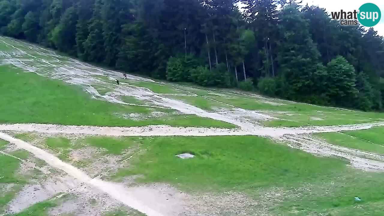 Web kamera Pohorje Trikotna Jasa | Poštela