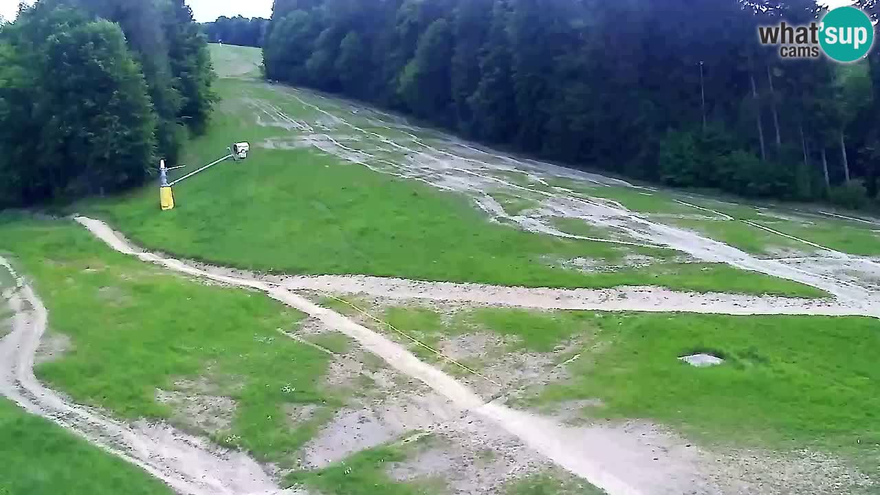 Webcam Pohorje Trikotna Jasa | Poštela