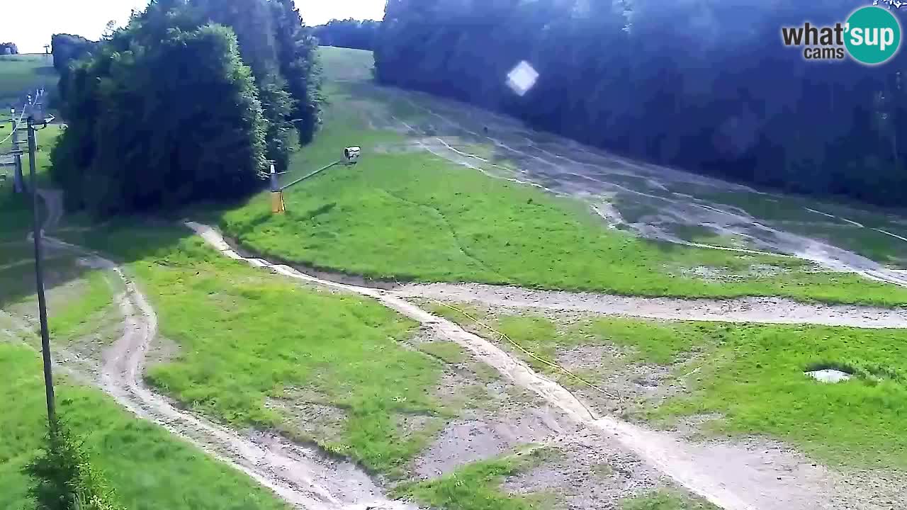 Web Camera Pohorje Trikotna Jasa | Poštela