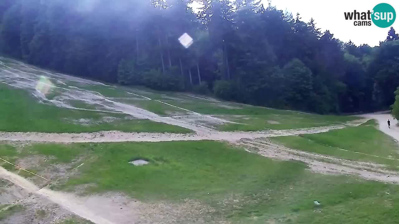 Webcam Pohorje Trikotna Jasa | Poštela