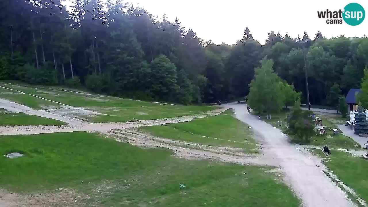 Web Camera Pohorje Trikotna Jasa | Poštela