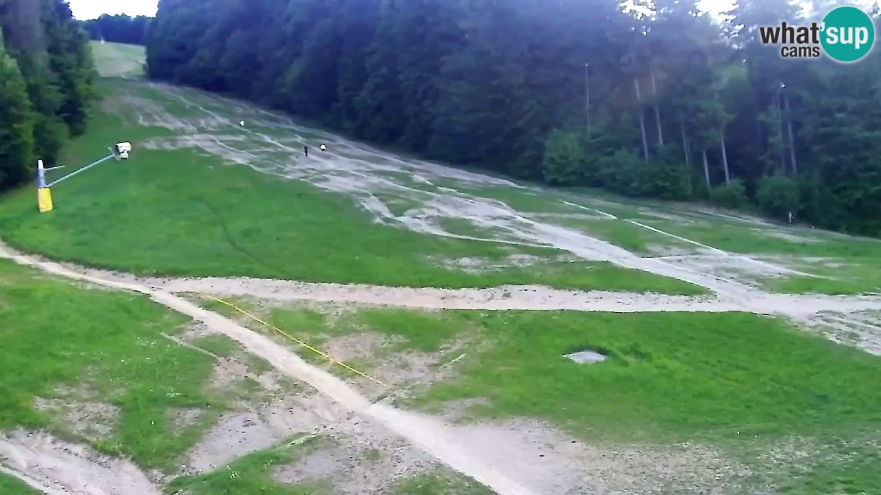 Web kamera Pohorje Trikotna Jasa | Poštela