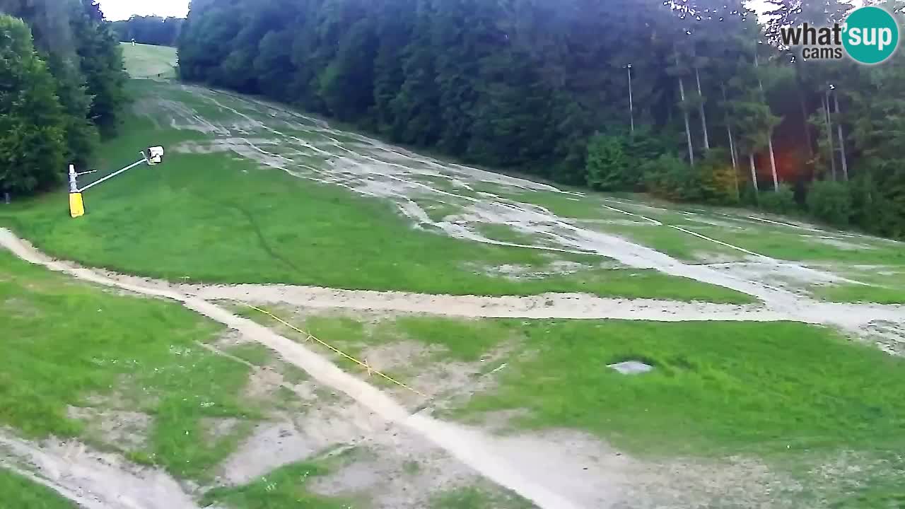 Webcam Pohorje Trikotna Jasa | Poštela
