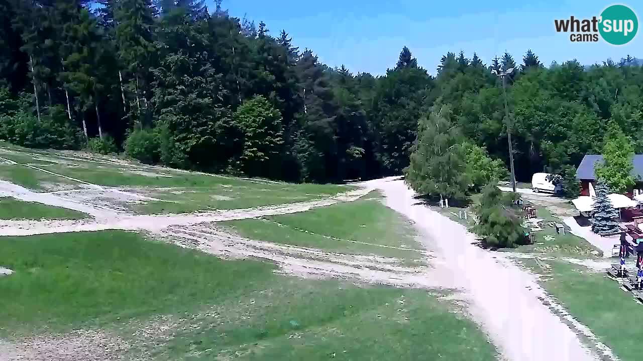 Webcam Pohorje Trikotna Jasa | Poštela