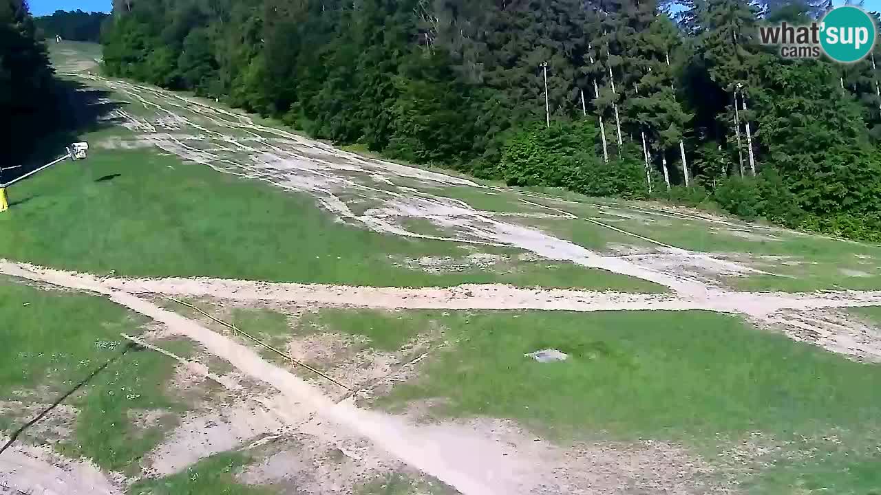 Web Camera Pohorje Trikotna Jasa | Poštela