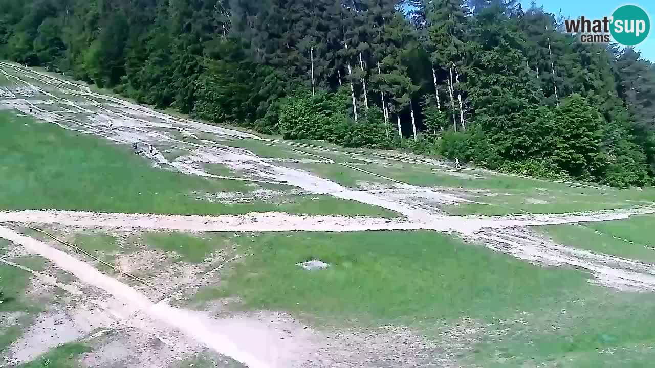 Webcam Pohorje Trikotna Jasa | Poštela