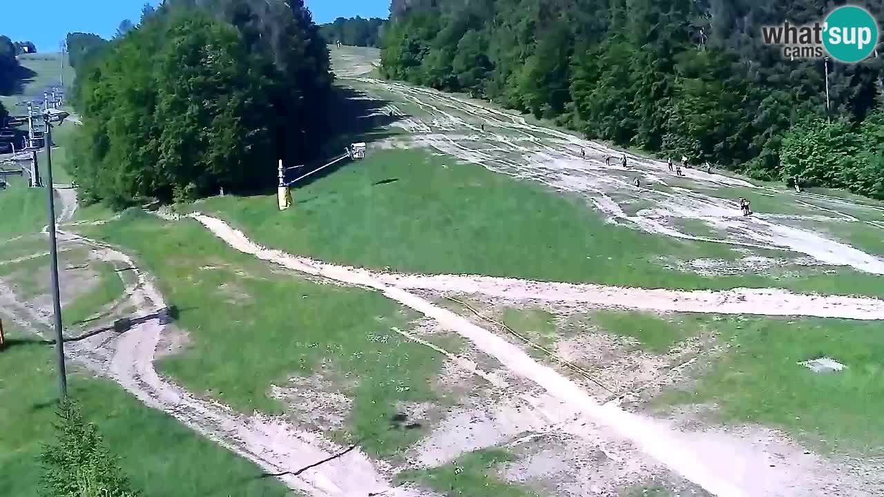 Webcam Pohorje Trikotna Jasa | Poštela