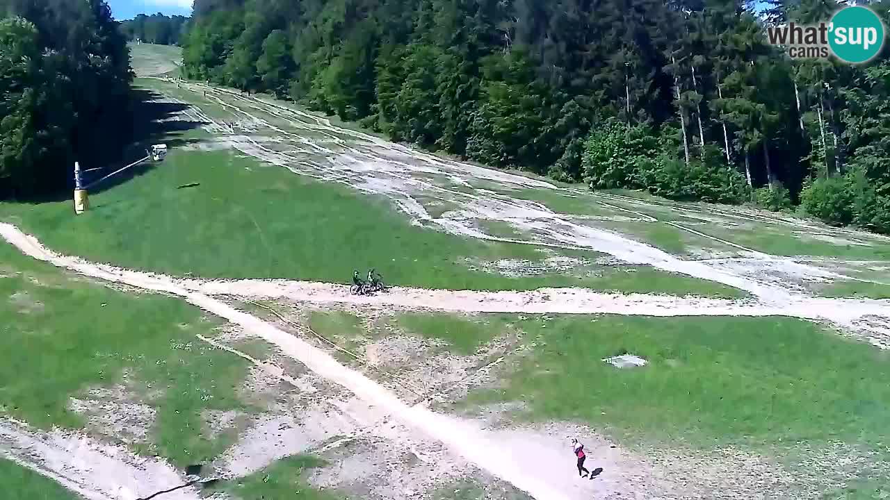 Webcam Pohorje Trikotna Jasa | Poštela