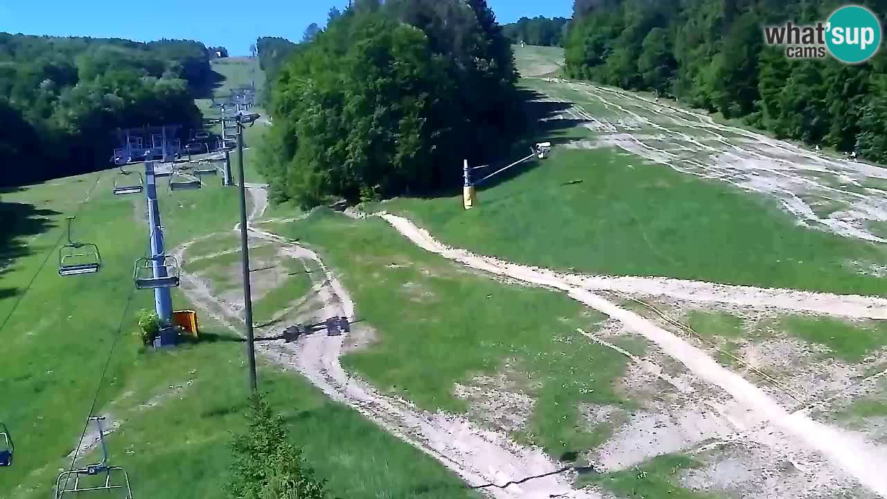 Webcam Pohorje Trikotna Jasa | Poštela