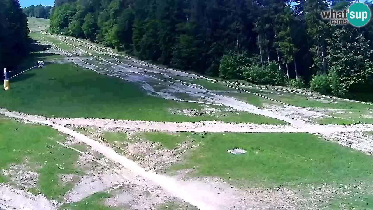 Webcam Pohorje Trikotna Jasa | Poštela