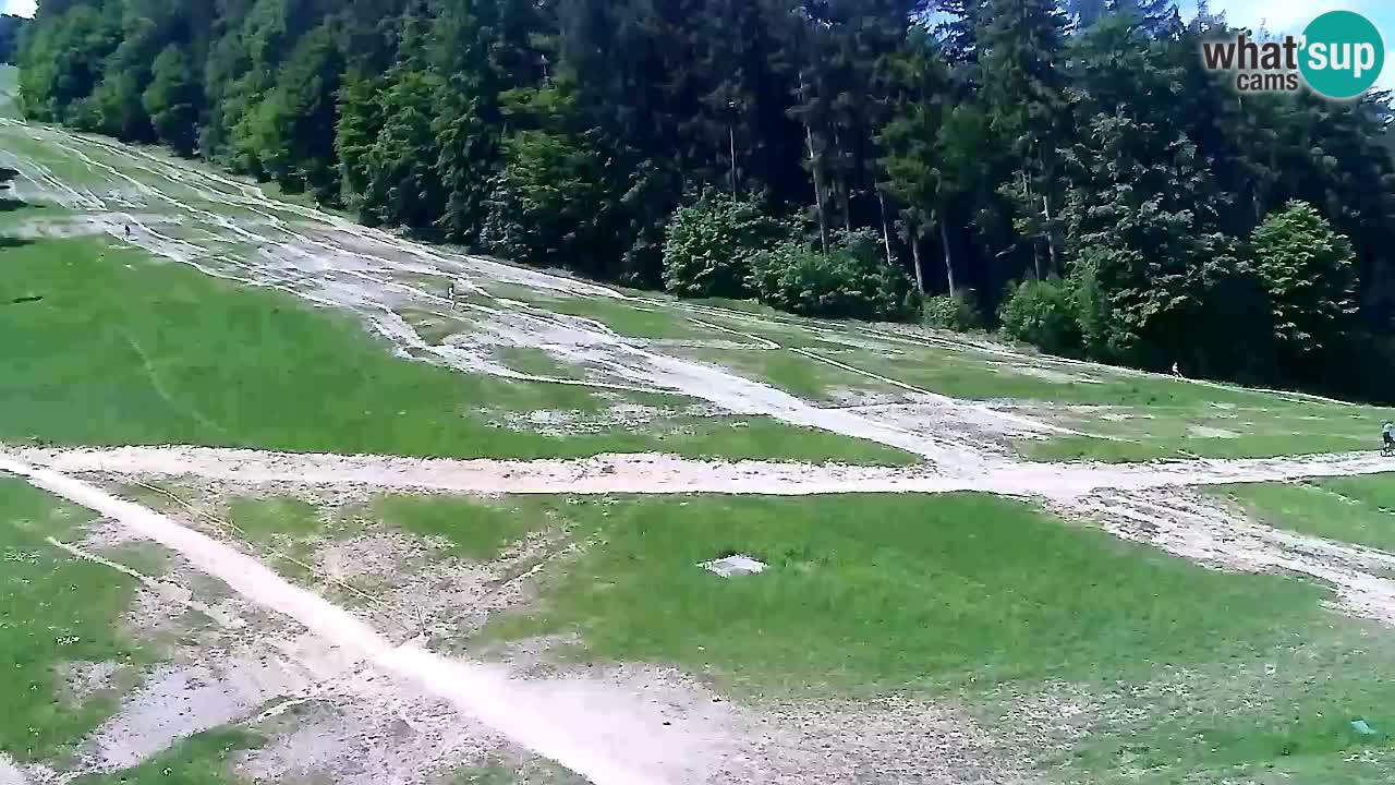 Spletna Kamera Pohorje Trikotna Jasa | Poštela