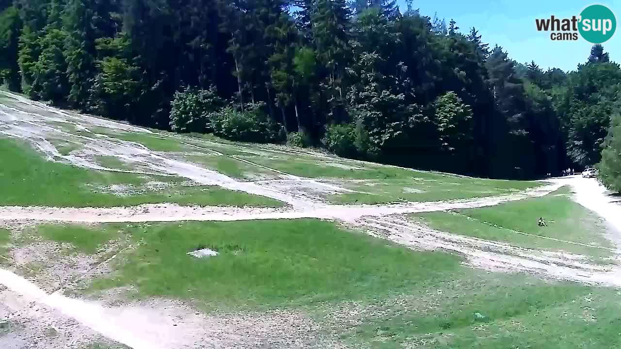 Webcam Pohorje Trikotna Jasa | Poštela