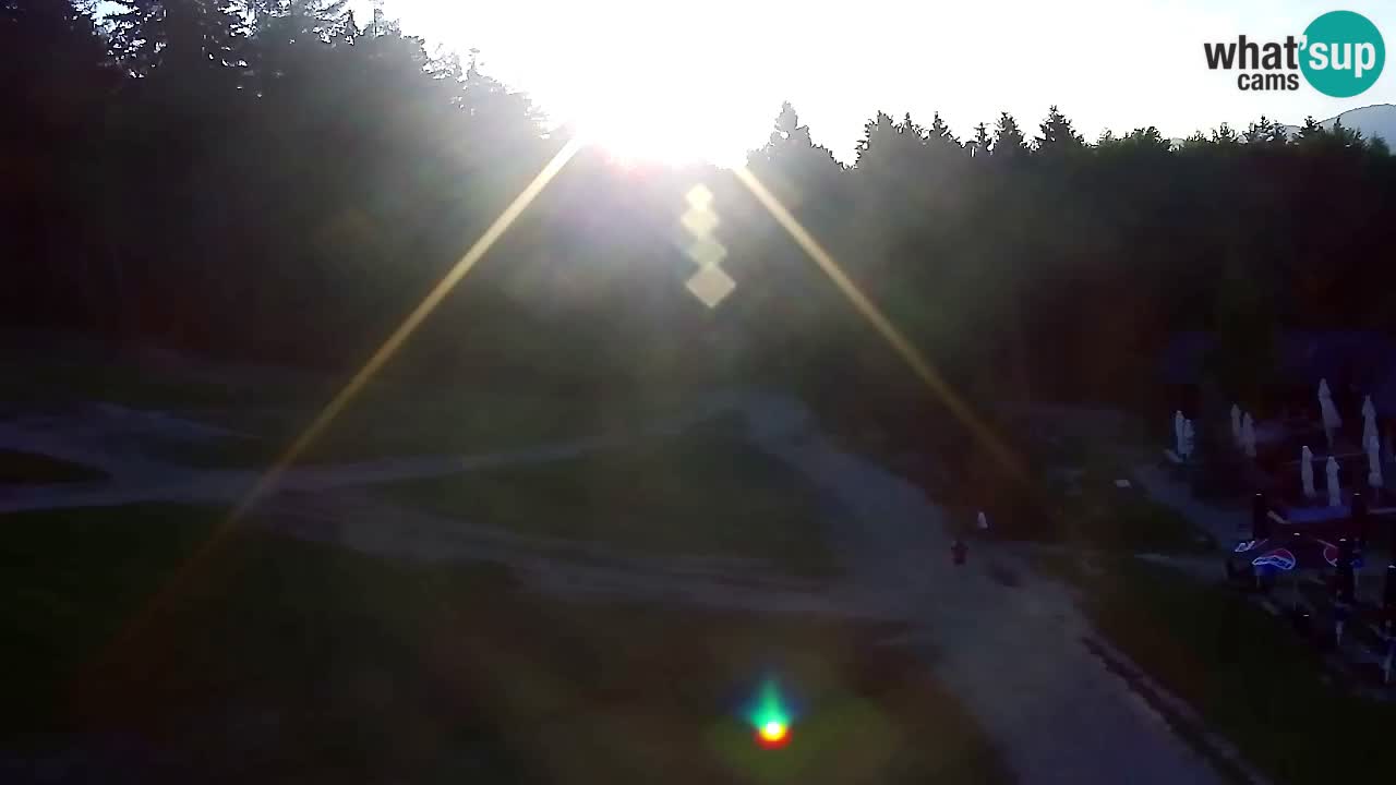Webcam Pohorje Trikotna Jasa | Poštela