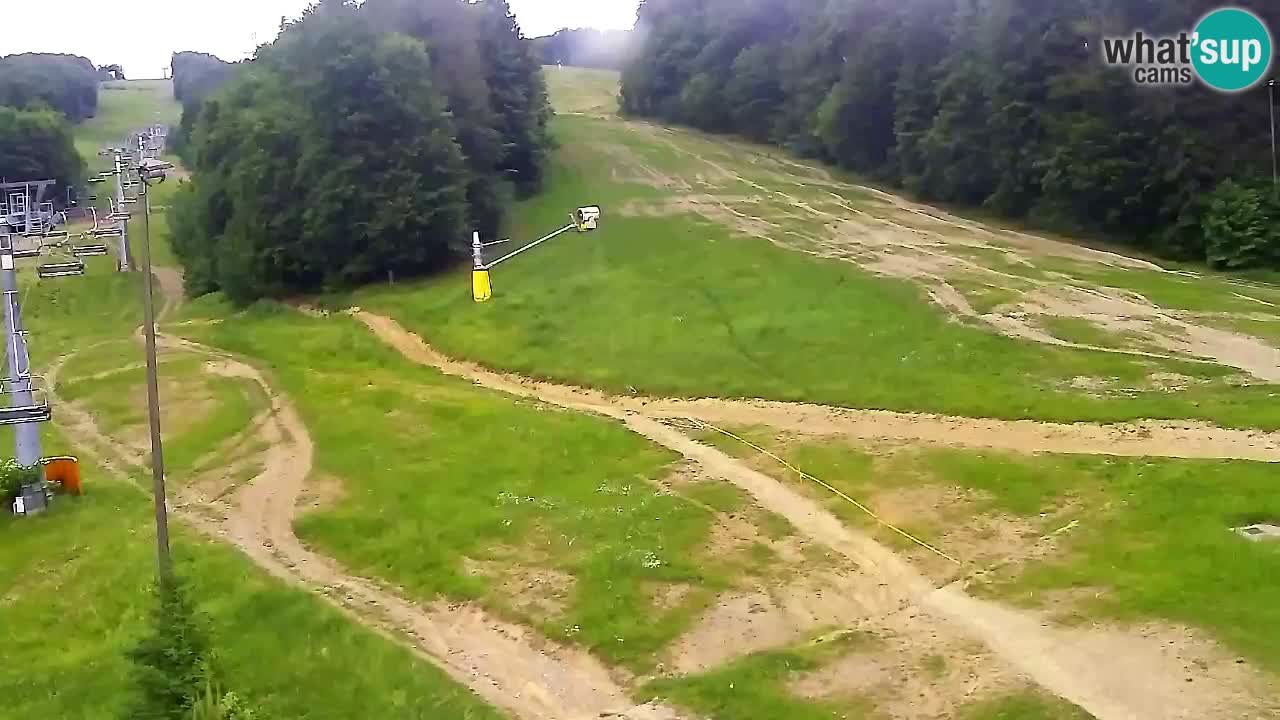 Webcam Pohorje Trikotna Jasa | Poštela