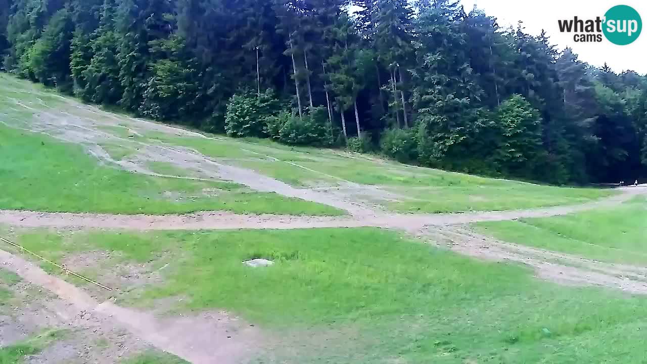Webcam Pohorje Trikotna Jasa | Poštela