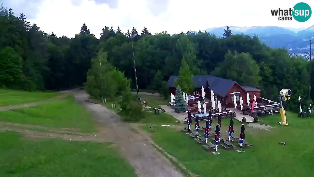 Webcam Pohorje Trikotna Jasa | Poštela