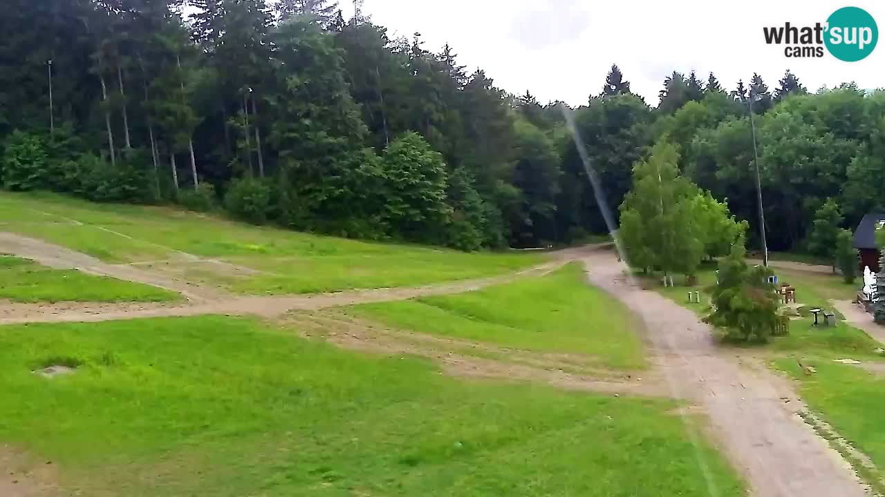 Webcam Pohorje Trikotna Jasa | Poštela