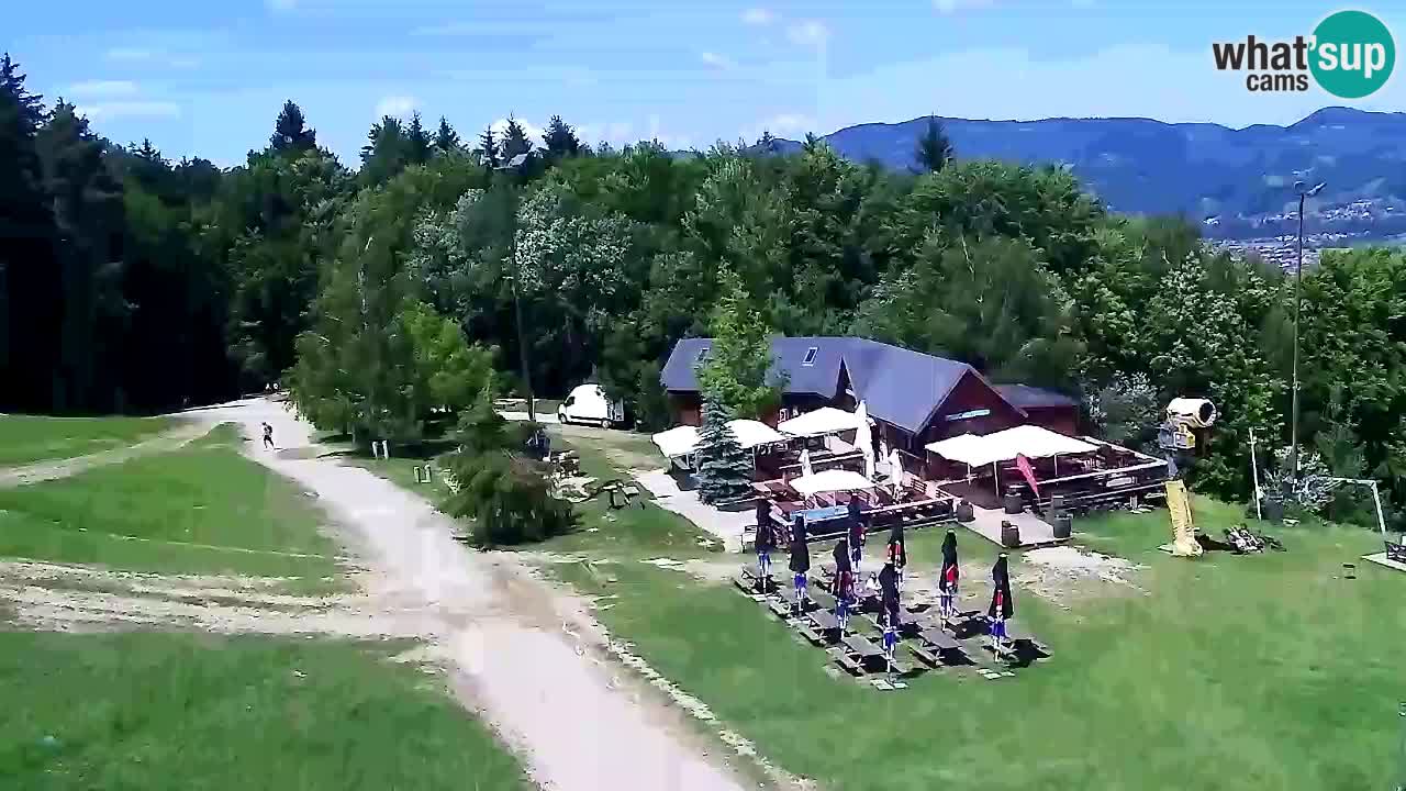 Web kamera Pohorje Trikotna Jasa | Poštela