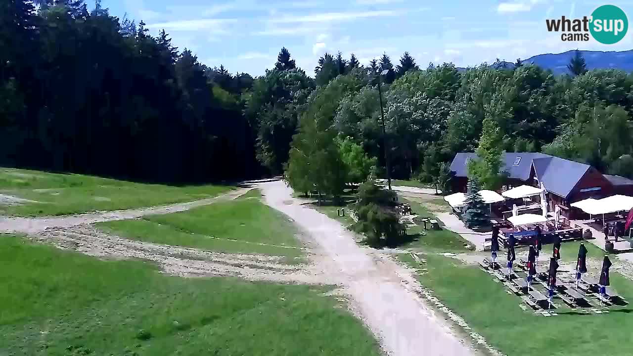 Web Camera Pohorje Trikotna Jasa | Poštela