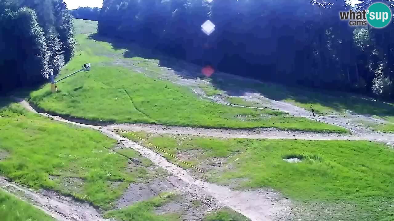 Spletna Kamera Pohorje Trikotna Jasa | Poštela